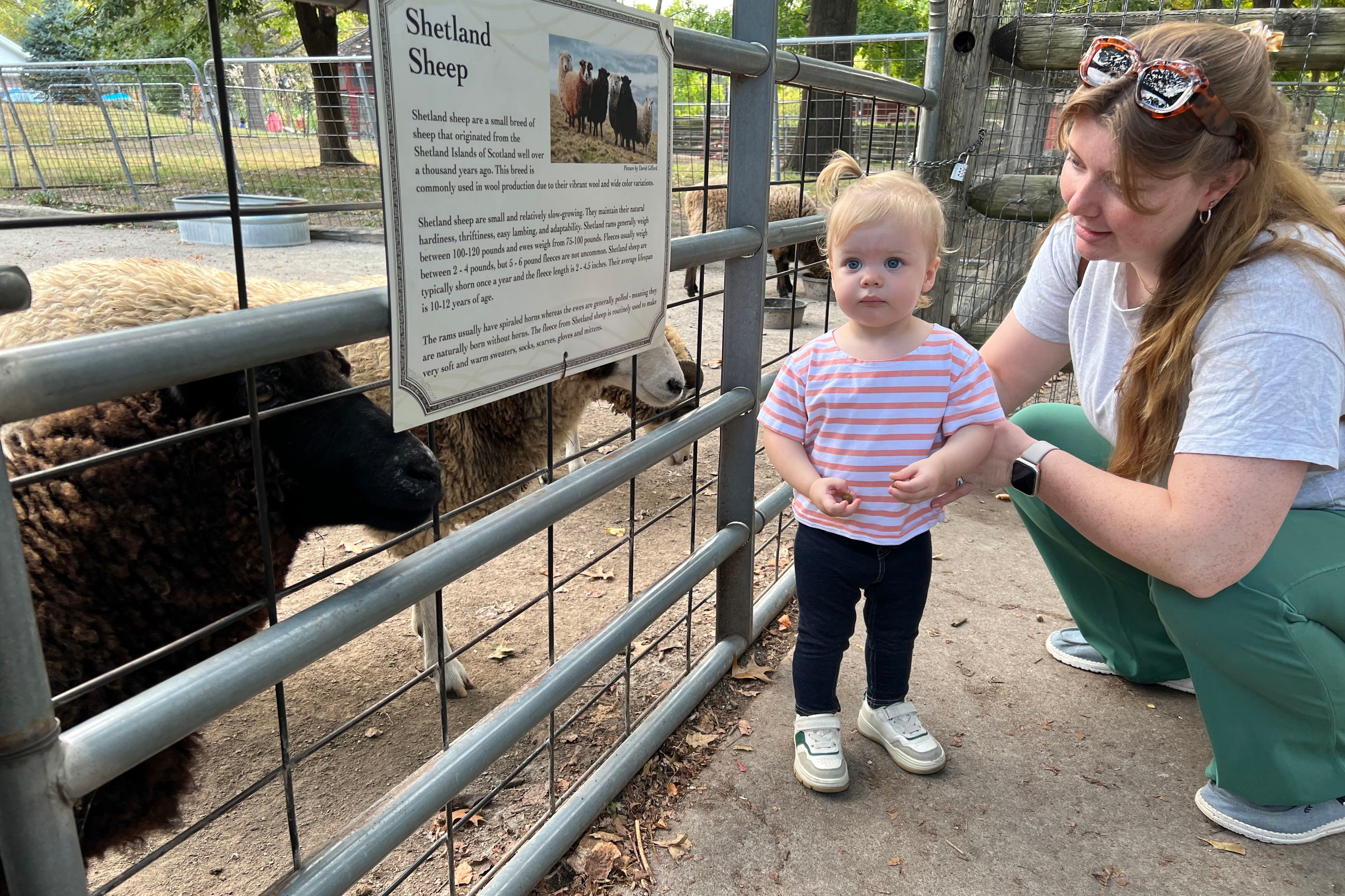 Deanna Rose Children's Farmstead