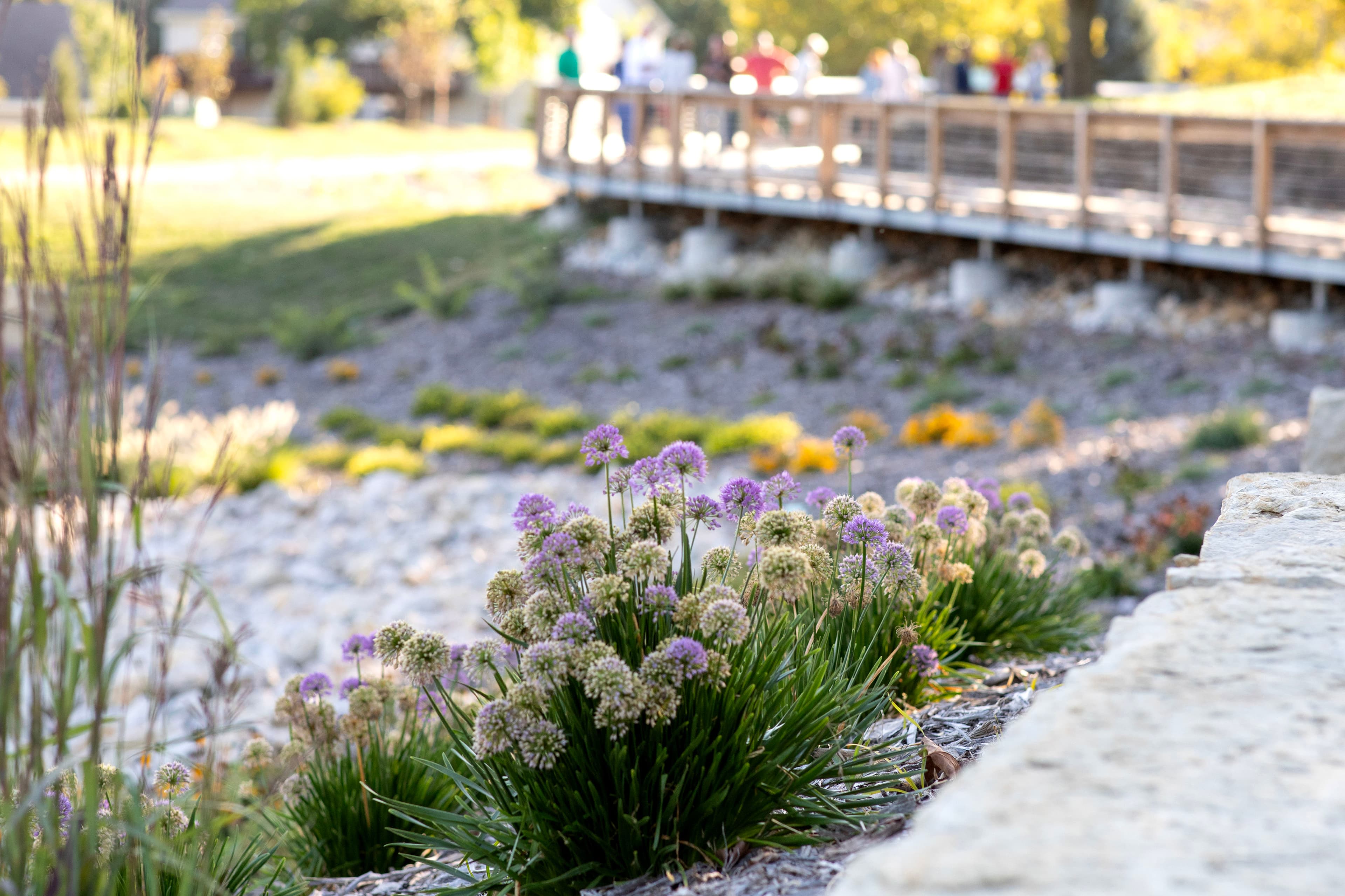 Centerview Boardwalk & Butterfly Garden