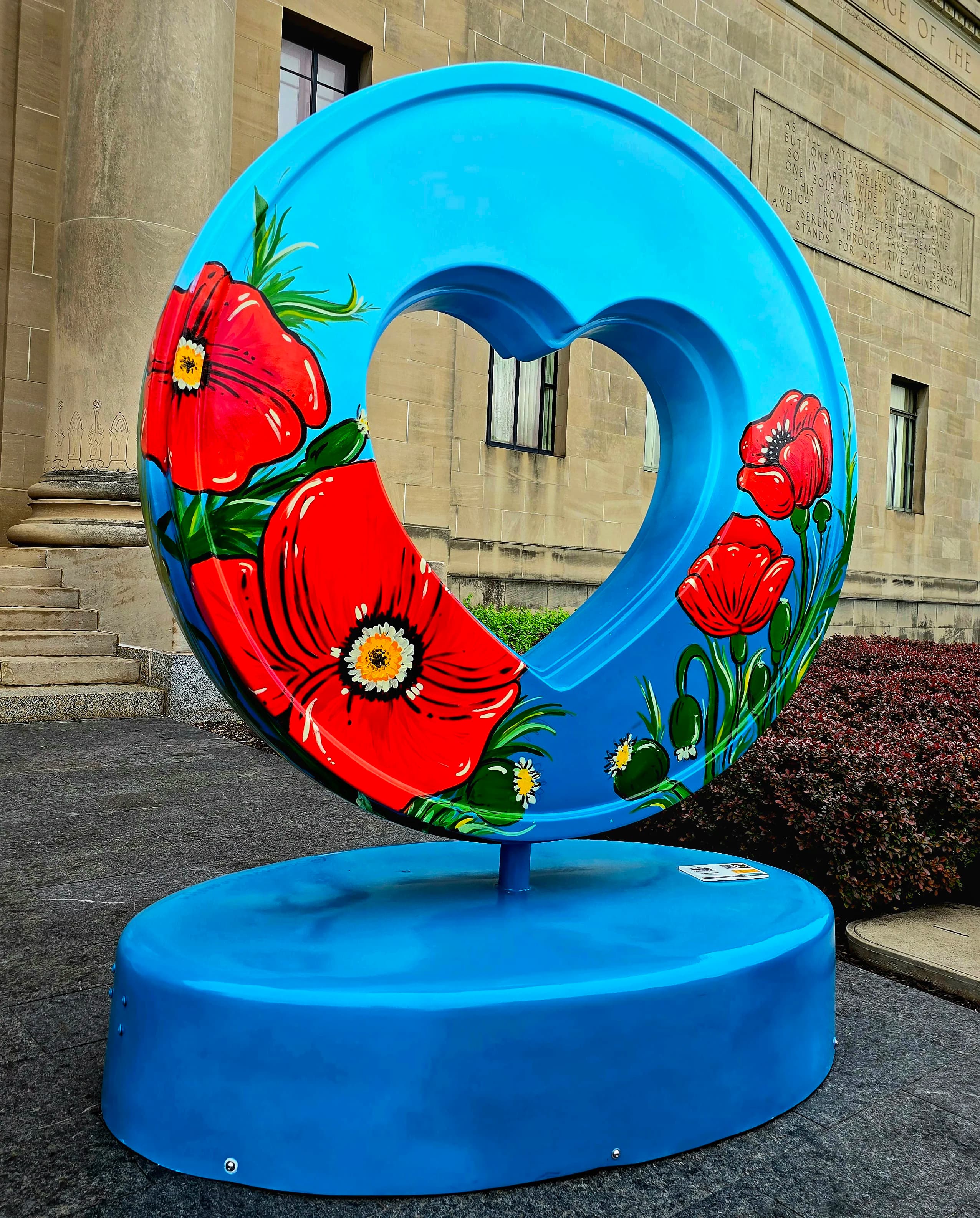 Image 15