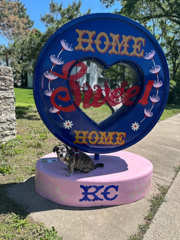 Home Sweet Home, A Cross-Stitched Welcome to Kansas City