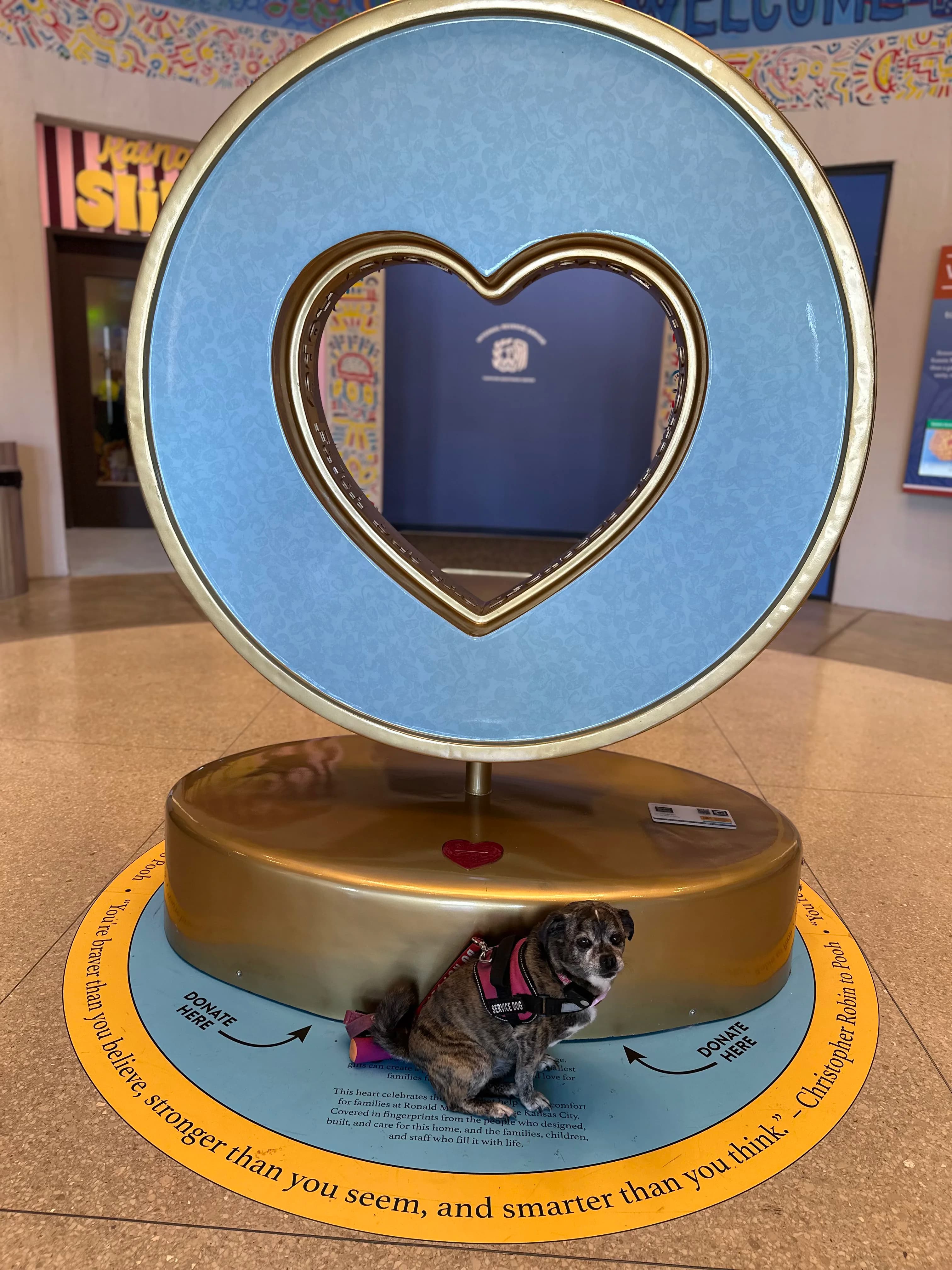 Image 15