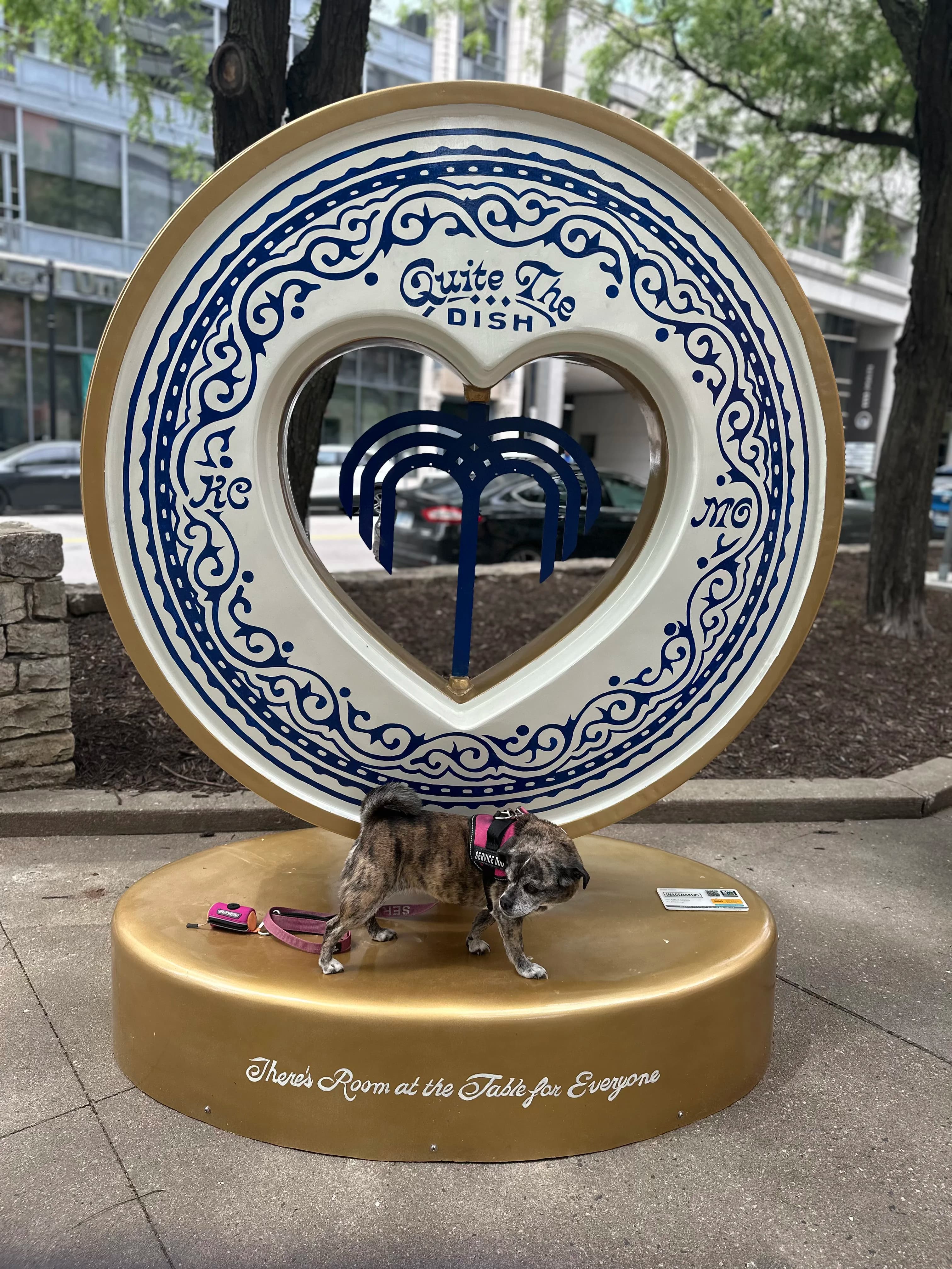 Image 14