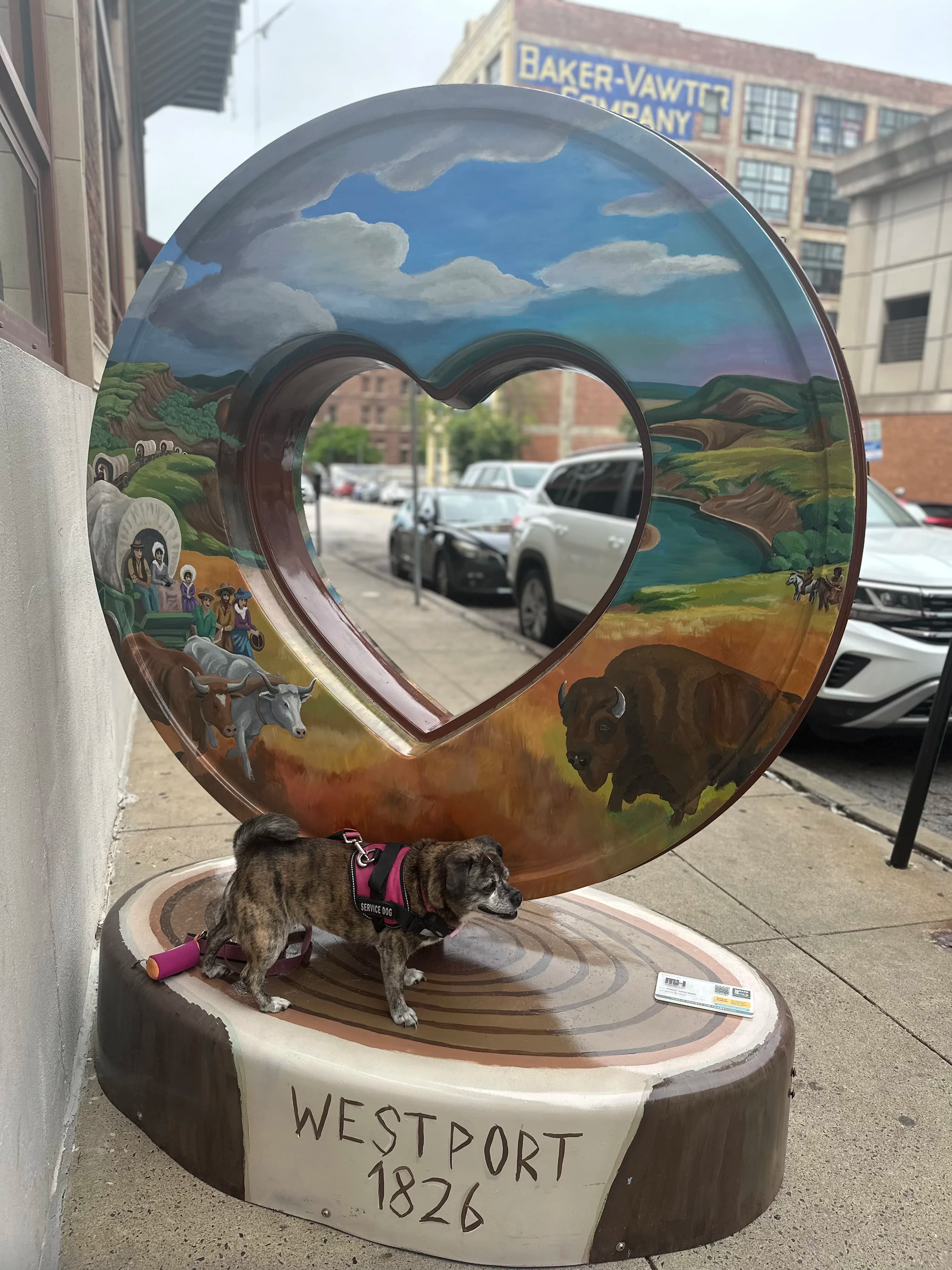 Image 12