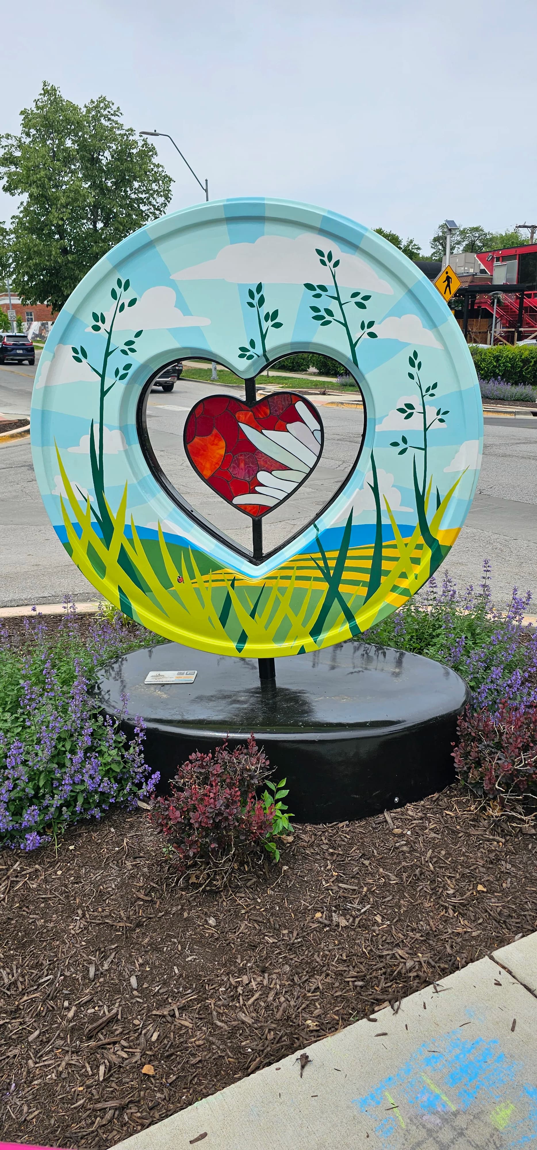 Image 15