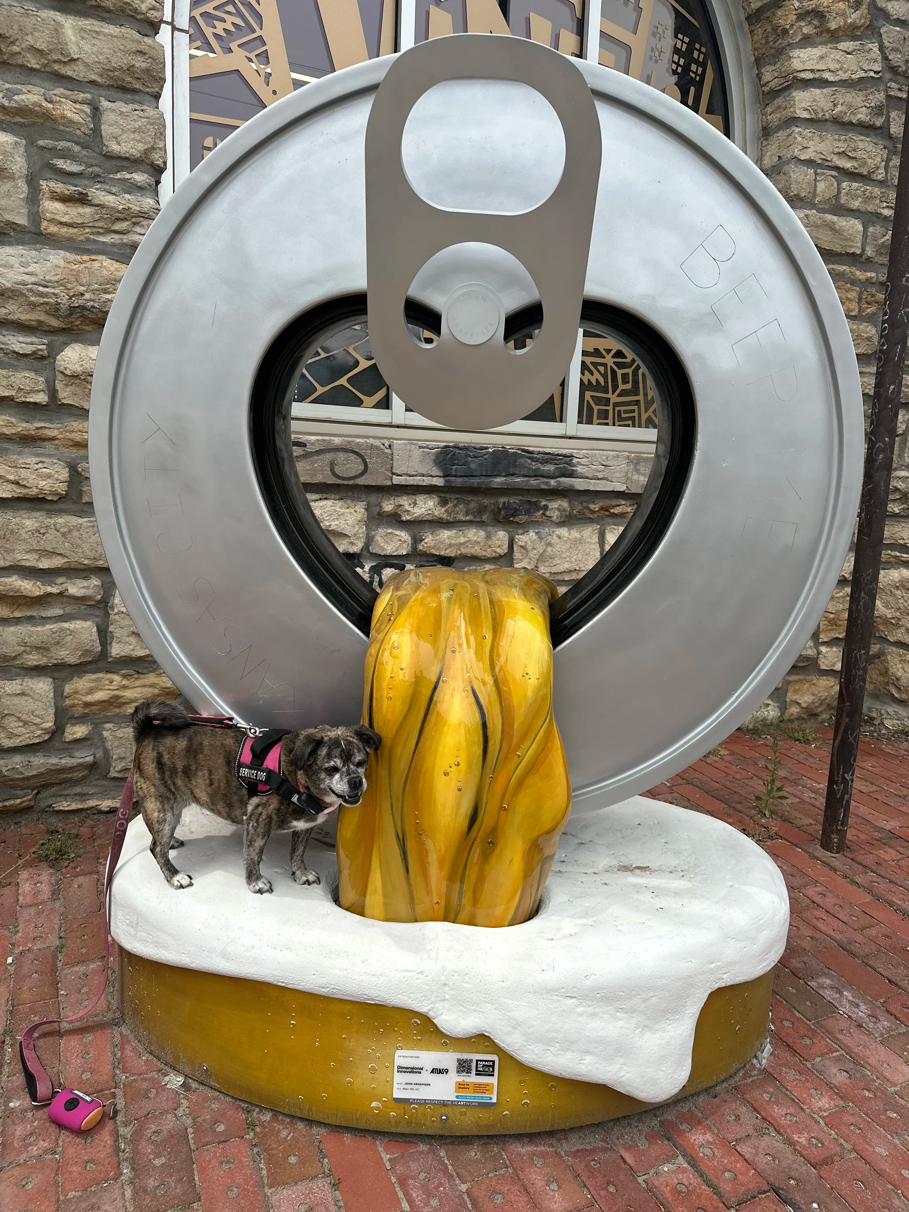 Image 14