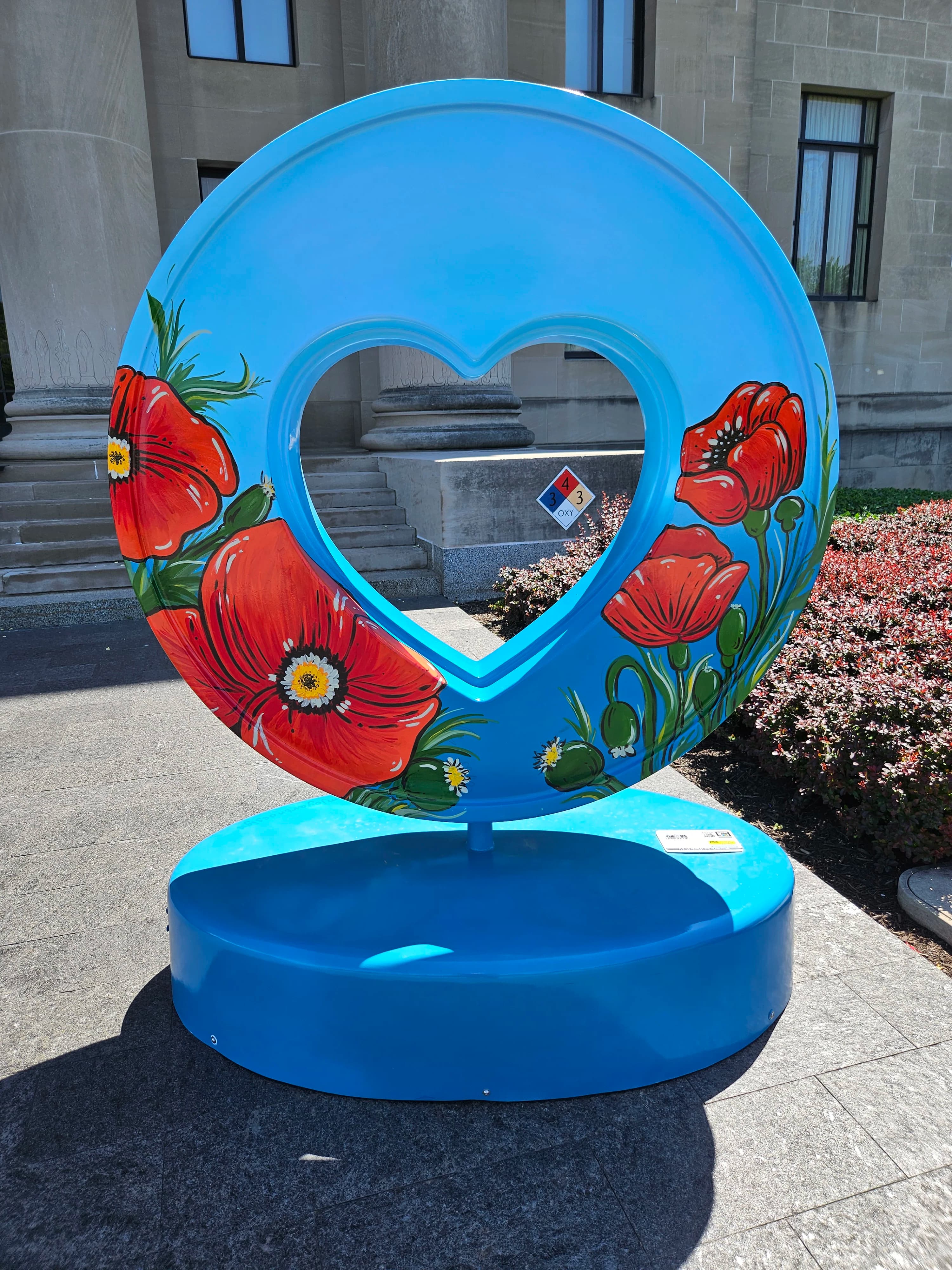 Image 20