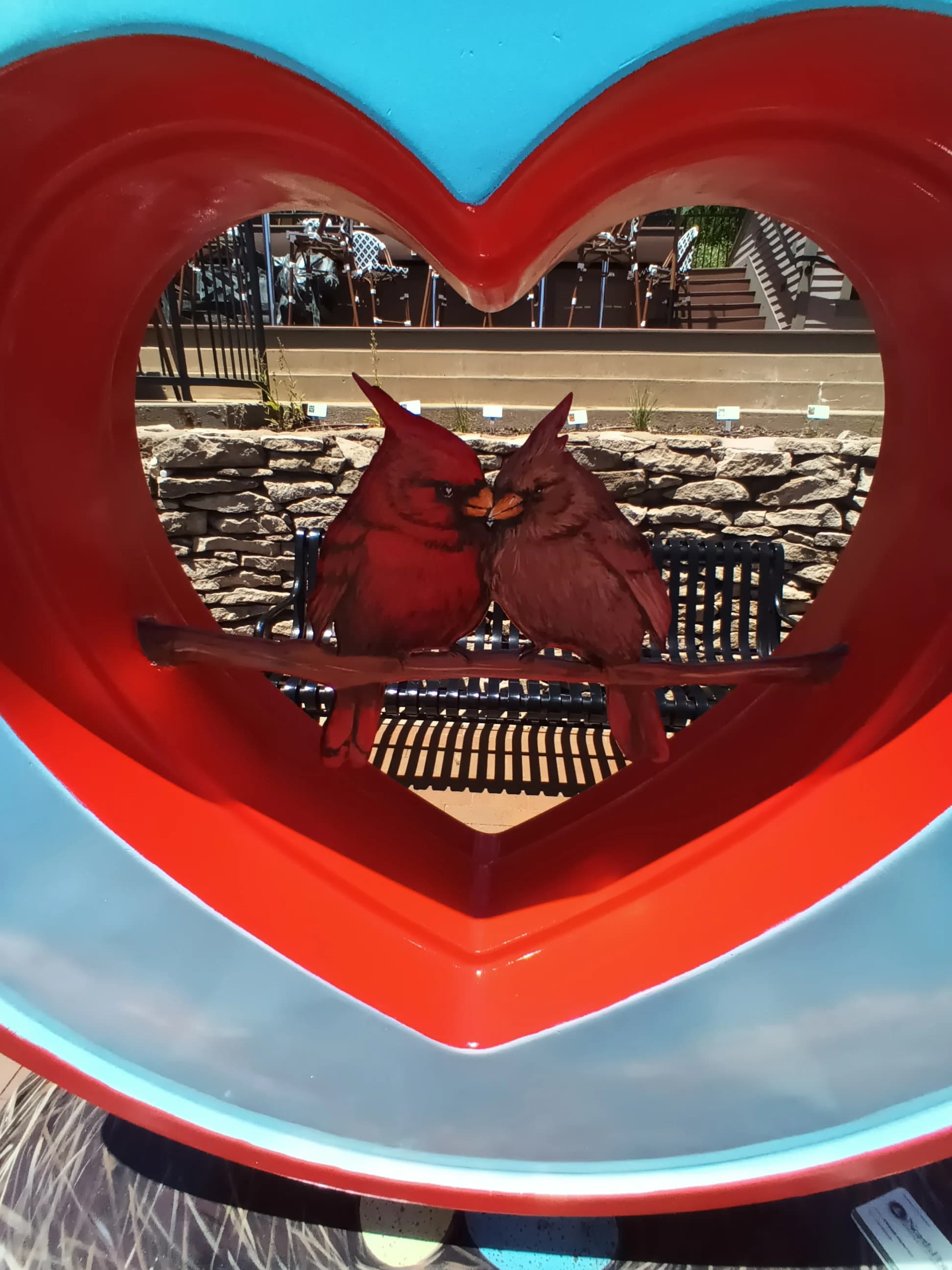 Image 38